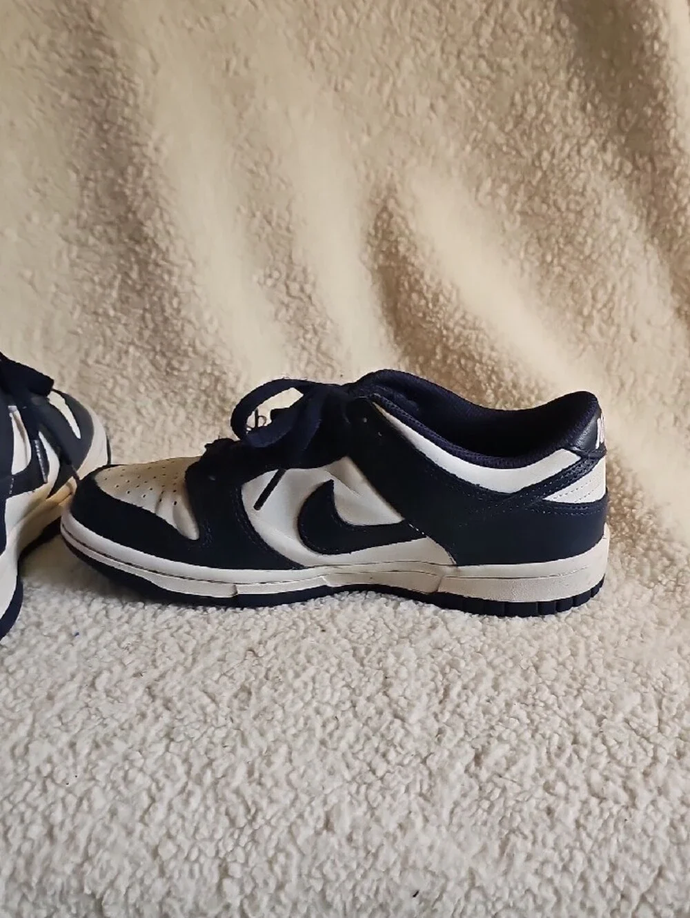 Nike Navy Blue Mesh Athletic Shoe